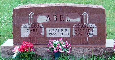 Arnold G Abel