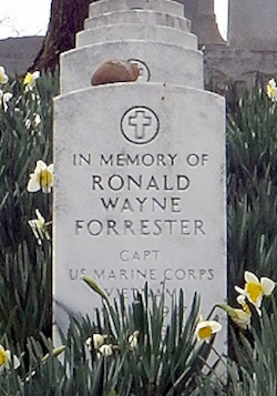 Ronald W Forrester